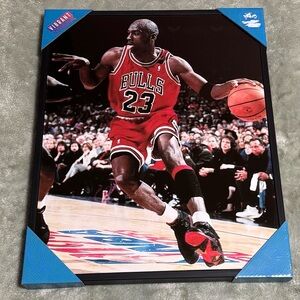 Michael Jordan Picture